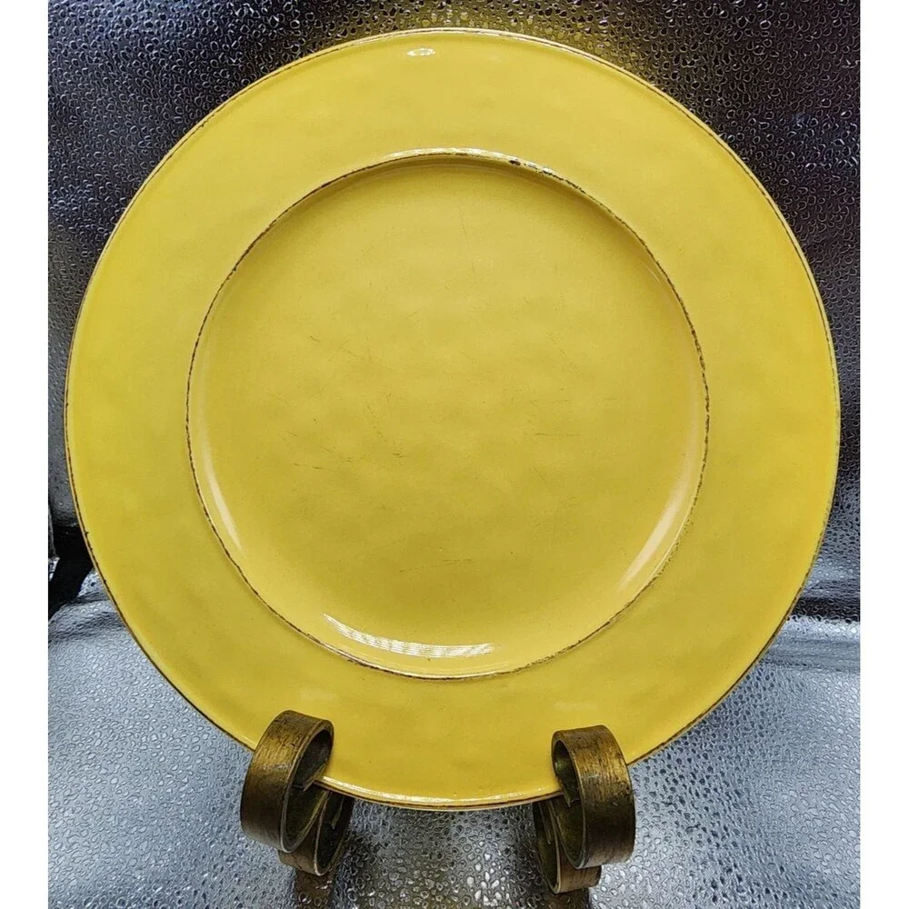 Pier 1 Martillo Mango Stoneware Dinner Plates (Set Of 4) READ!!!!!!!